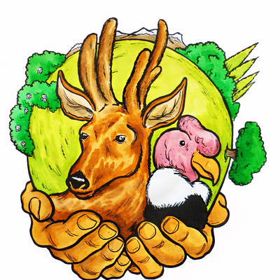 Cuidemos el medio ambiente Cuidemos el medio ambiente