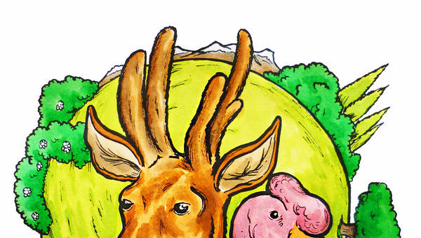 Cuidemos el medio ambiente Cuidemos el medio ambiente