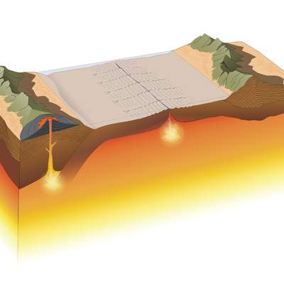 Movimiento de las placas sin rotular Movimiento de las placas sin rotular
