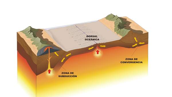 Movimiento de las placas rotulado Movimiento de las placas rotulado