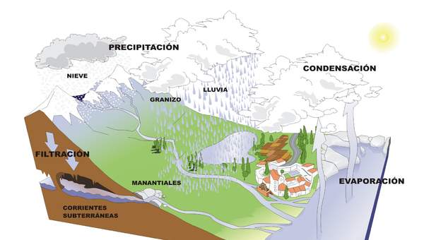 Ciclo del agua sin rotular Ciclo del agua sin rotular