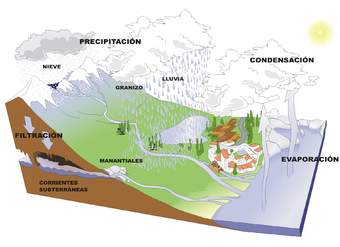 Ciclo del agua sin rotular Ciclo del agua sin rotular