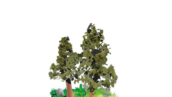 Estructura del suelo sin rotular Estructura del suelo sin rotular