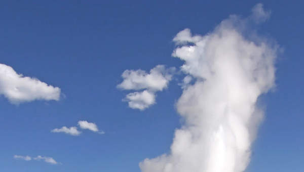 Géiser en el Parque Yellowstone Géiser en el Parque Yellowstone