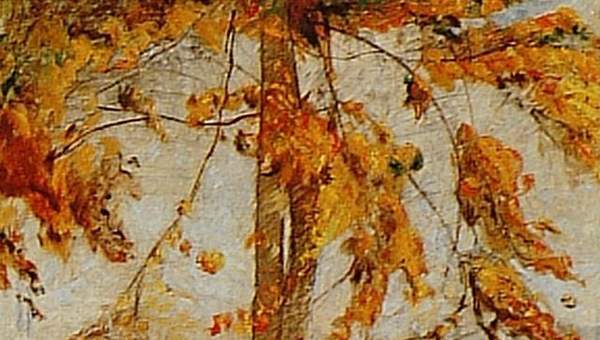 Otoño de Pablo Burchard Otoño de Pablo Burchard