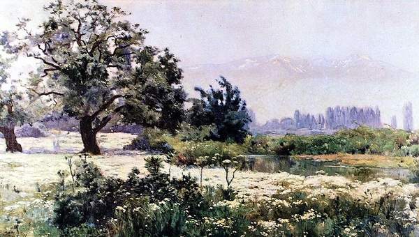 Paisaje con manzanillas Paisaje con manzanillas