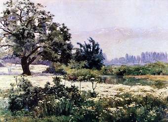 Paisaje con manzanillas Paisaje con manzanillas