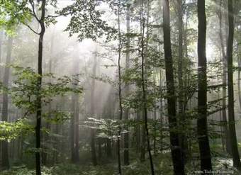 Coro de los cazadores de la ópera El cazador furtivo Coro de los cazadores de la ópera El cazador furtivo