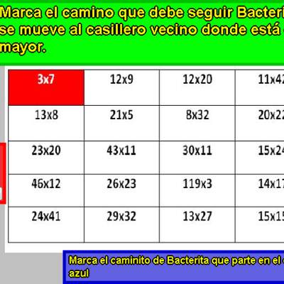 Bacterita (I) Bacterita (I)