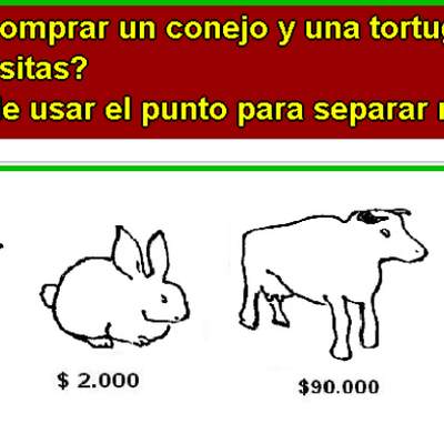 Comprando un conejo y una tortuga Comprando un conejo y una tortuga