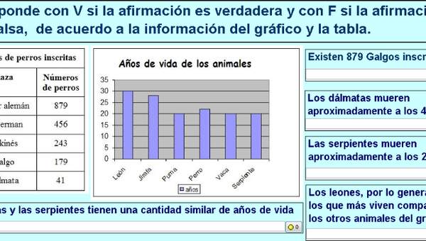 Año de vida de los animales Año de vida de los animales