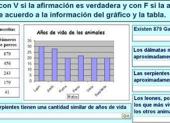 Año de vida de los animales Año de vida de los animales