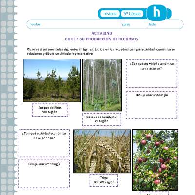 Chile y su producción de recursos Chile y su producción de recursos