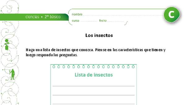Los insectos Los insectos