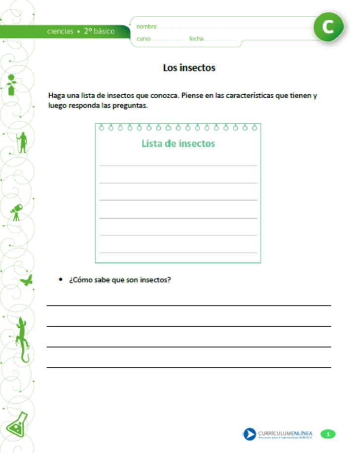 Los insectos Los insectos