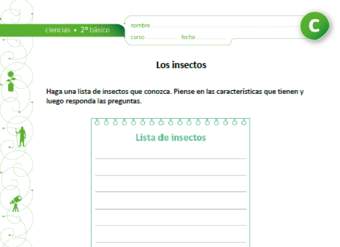 Los insectos Los insectos