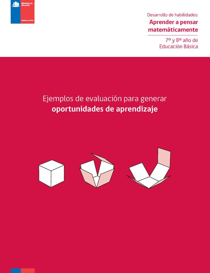 Desarrollo de Habilidades: Aprender a pensar matemáticamente, Ejemplos de Evaluación