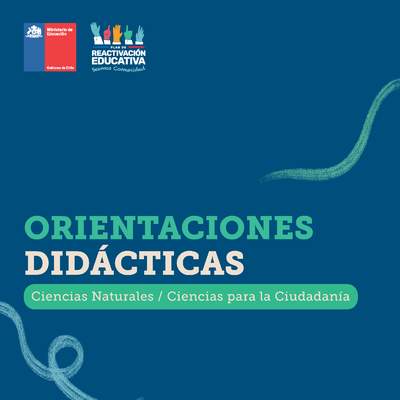 Orientaciones didácticas: Ciencias Naturales y Ciencias para la Ciudadanía Orientaciones didácticas: Ciencias Naturales y Ciencias para la Ciudadanía