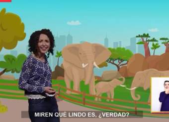 Pensamiento matemático Prekinder y Kinder - Capítulo 05 - OA02 - Comparar tamaño de objetos