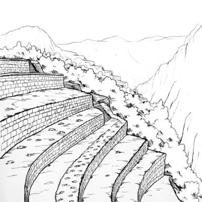 Terrazas de cultivos incas Terrazas de cultivos incas