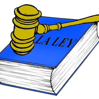 Respetar las leyes Respetar las leyes