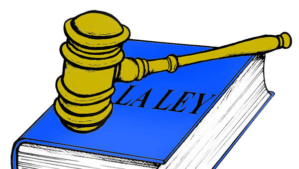 Respetar las leyes Respetar las leyes