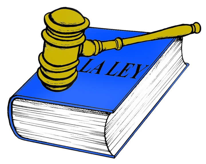 Respetar las leyes Respetar las leyes