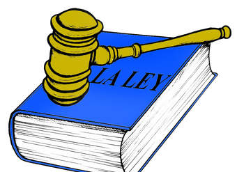 Respetar las leyes Respetar las leyes