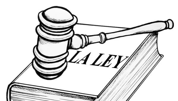 Respetar las leyes Respetar las leyes