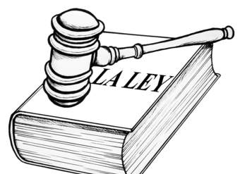 Respetar las leyes Respetar las leyes