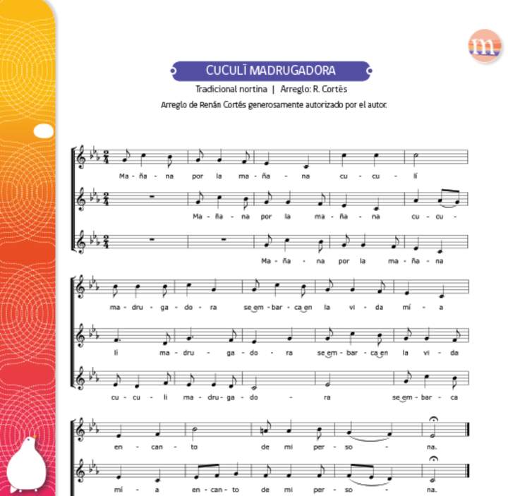 Cuculi madrugadora Cuculi madrugadora