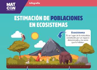 Infografía: Estimación de Poblaciones en Ecosistemas