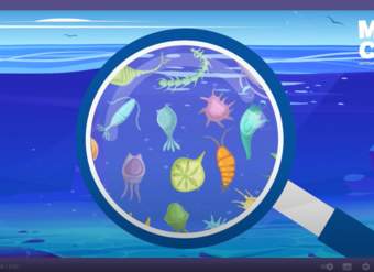 Video: Investigando los océanos