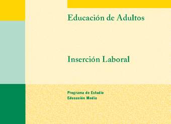 Educación Jóvenes y Adultos - EM - Formación Instrumental - Inserción laboral Educación Jóvenes y Adultos - EM - Formación Instrumental - Inserción laboral