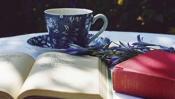 Imagen Unidad 5 Imagen Unidad 5