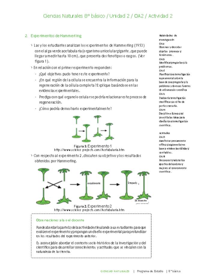 Ciencias Naturales 8° básico-Unidad 2-OA2-Actividad 2 Ciencias Naturales 8° básico-Unidad 2-OA2-Actividad 2