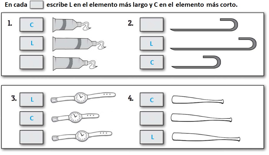 Respuesta Ordenando longitudes Respuesta Ordenando longitudes