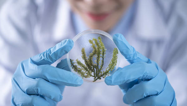 Imagen Biología Unidad 2 Imagen Biología Unidad 2