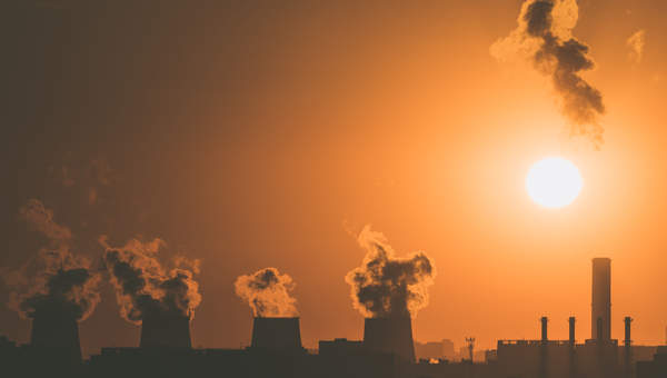 Imagen Biología Unidad 4 Imagen Biología Unidad 4