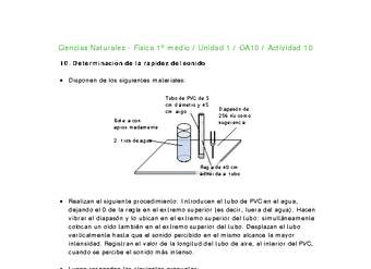 Ciencias Naturales 1 medio-Unidad 1-OA10-Actividad 10 Ciencias Naturales 1 medio-Unidad 1-OA10-Actividad 10