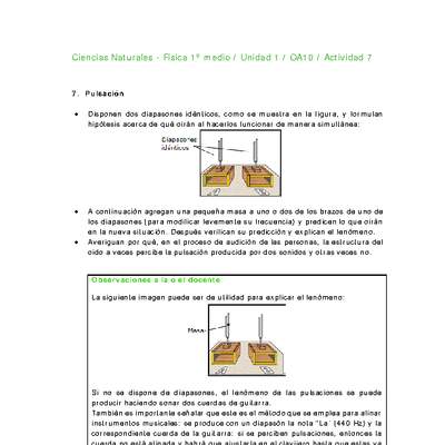 Ciencias Naturales 1 medio-Unidad 1-OA10-Actividad 7 Ciencias Naturales 1 medio-Unidad 1-OA10-Actividad 7
