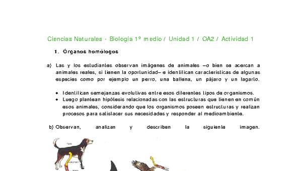 Ciencias Naturales 1 medio-Unidad 1-OA2-Actividad 1 Ciencias Naturales 1 medio-Unidad 1-OA2-Actividad 1