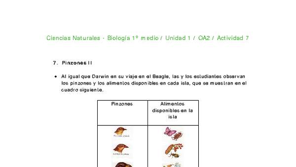 Ciencias Naturales 1 medio-Unidad 1-OA2-Actividad 7 Ciencias Naturales 1 medio-Unidad 1-OA2-Actividad 7