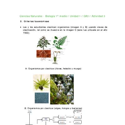 Ciencias Naturales 1 medio-Unidad 1-OA3-Actividad 3 Ciencias Naturales 1 medio-Unidad 1-OA3-Actividad 3