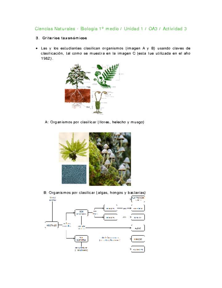 Ciencias Naturales 1 medio-Unidad 1-OA3-Actividad 3 Ciencias Naturales 1 medio-Unidad 1-OA3-Actividad 3