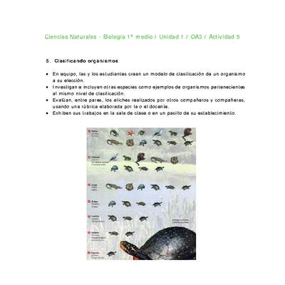 Ciencias Naturales 1 medio-Unidad 1-OA3-Actividad 5 Ciencias Naturales 1 medio-Unidad 1-OA3-Actividad 5