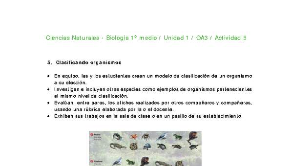 Ciencias Naturales 1 medio-Unidad 1-OA3-Actividad 5 Ciencias Naturales 1 medio-Unidad 1-OA3-Actividad 5