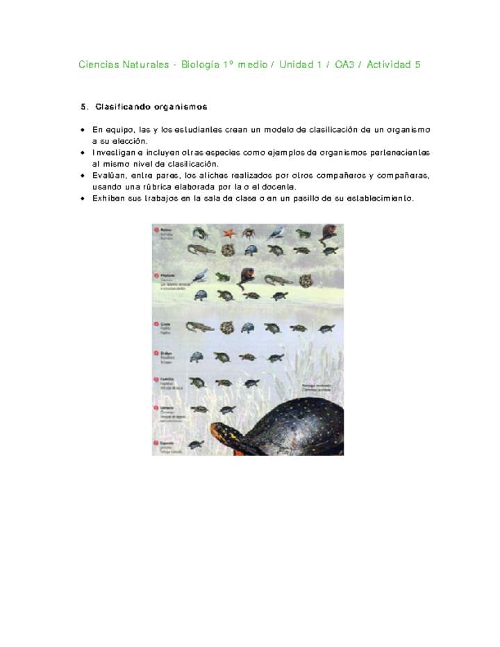 Ciencias Naturales 1 medio-Unidad 1-OA3-Actividad 5 Ciencias Naturales 1 medio-Unidad 1-OA3-Actividad 5