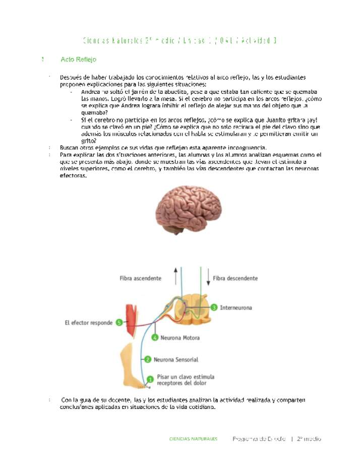 Ciencias Naturales 2 medio-Unidad 1-OA1-Actividad 3 Ciencias Naturales 2 medio-Unidad 1-OA1-Actividad 3