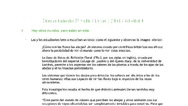 Ciencias Naturales 2 medio-Unidad 1-OA1-Actividad 4 Ciencias Naturales 2 medio-Unidad 1-OA1-Actividad 4